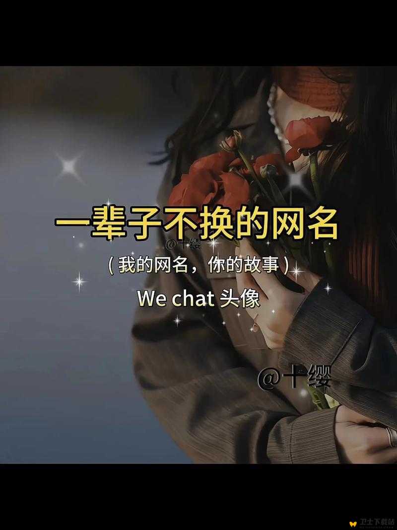 关于 YW 最新网名的独特故事与精彩呈现