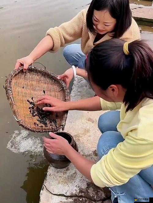 蝌蚪巨窝在线视频：探索奇妙的视频世界