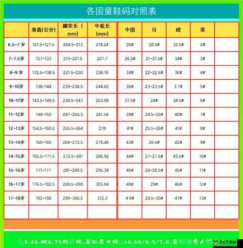 等级提升三叶草 m 码和欧洲码区别之详细解析与对比分析